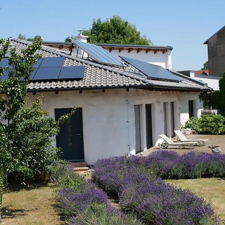 Strohlehm'Zhaus Daire Weiden am See Dış mekan fotoğraf