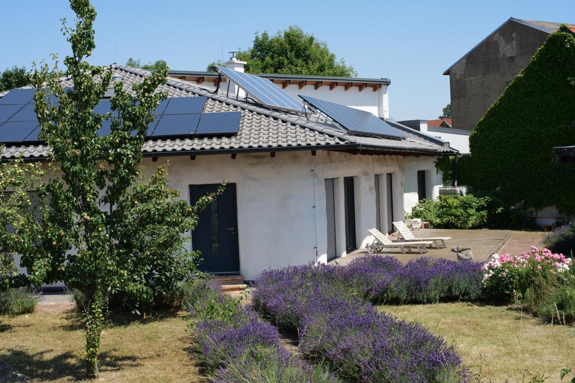 Strohlehm'Zhaus Daire Weiden am See Dış mekan fotoğraf